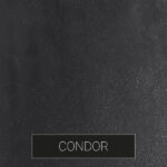 Condor