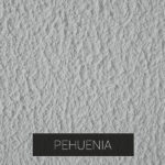 Pehuenia