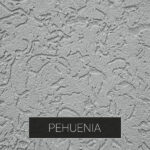 Pehuenia